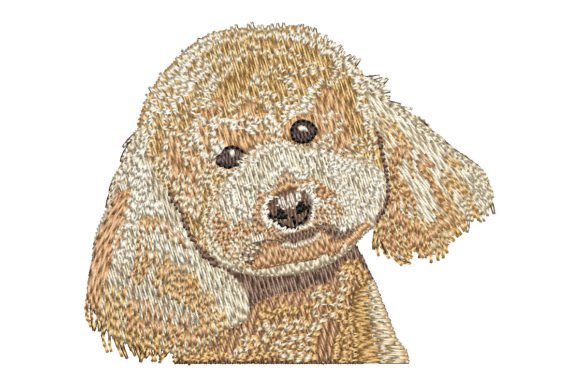 Apricot Poodle Embroidery Design